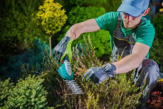 landscaping services La Grange